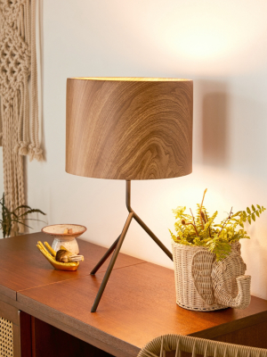 Quinton Abstract Table Lamp