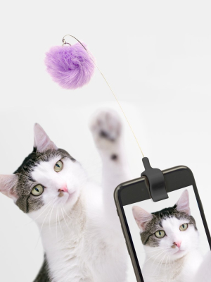 Kitty Phone Clip