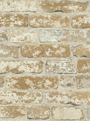 Stuccoed Brick Peel & Stick Wallpaper In Brown By Roommates For York Wallcoverings