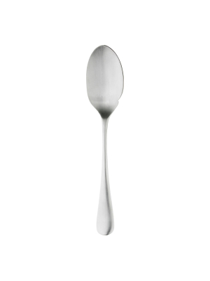 Radford Satin Sauce Spoon