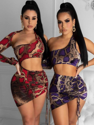 Snake Print Long Sleeve Cutout One Shoulder Brazilian Two Piece Bikini Swimsuit