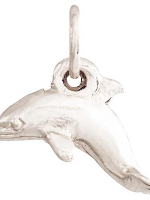 Dolphin Mini Charm