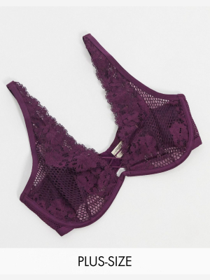 Dorina Plus Size Skye High Apex Lace Front Detail Bra In Burgundy