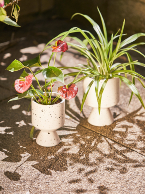 Speckled Ceramic Pedestal Planter