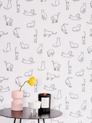 Cats Removable Wallpaper
