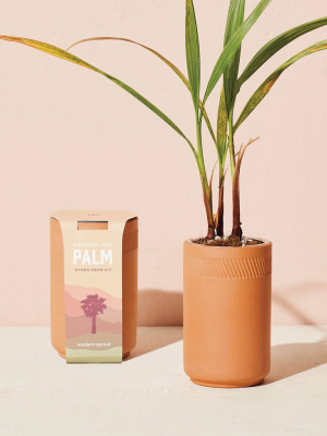 Terracotta Kit - Palm