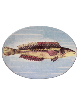 Painted Fish H Oval Plate