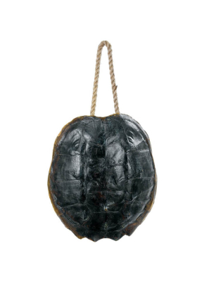 Regina Andrew Turtle Shell Accessory - Natural