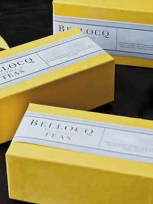 Bellocq Winter Collection