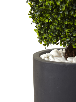 50" Boxwood Topiary With Gray Cylindrical Planter - Nearly Natural