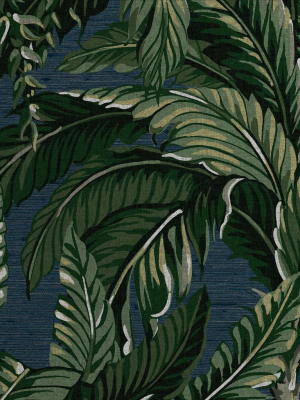 Daintree Palm Wallpaper