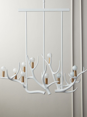 Hayden Antler Pendant Light