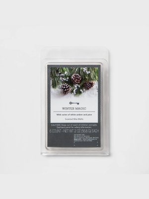 6ct Winter Magic Scented Wax Melts - Threshold™