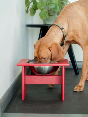 Minimalist Single Dog Bowl - Medium