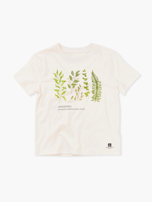 Girls American Forests Dendrophile Tee (kids)