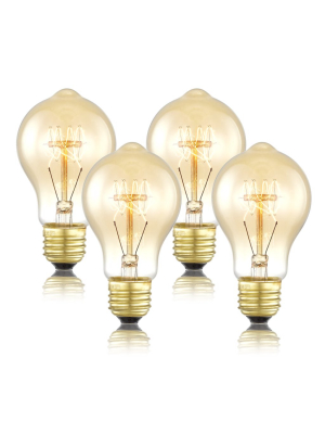 Darby A19 Vintage Edison Bulbs 40w