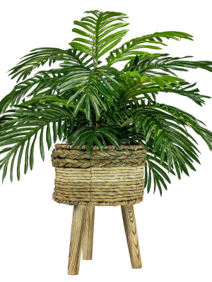 32" X 24" Artificial Palm Plant In Basket Stand - Lcg Florals