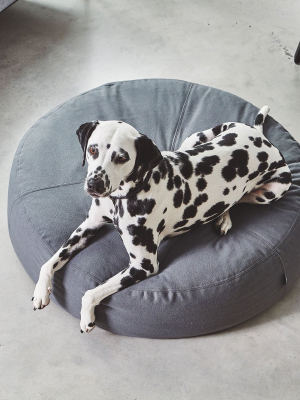 Stella Dog Pouffe