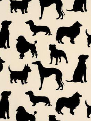 Best In Show Wallpaper In Black And Beige From The Walk In The Park Collection By Osborne & Little