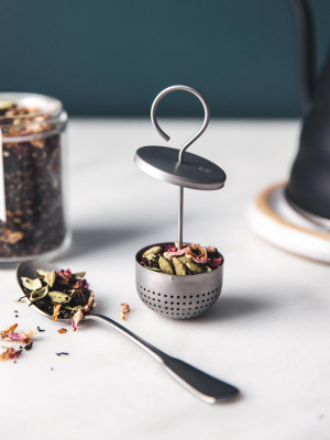 Modern Tea Infusers