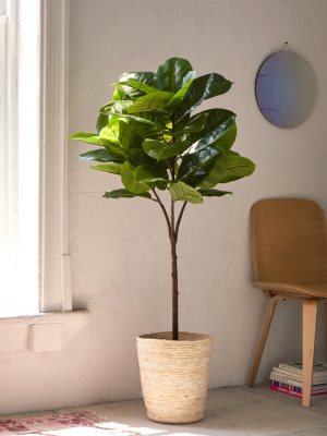 Potted Faux Rubber Tree