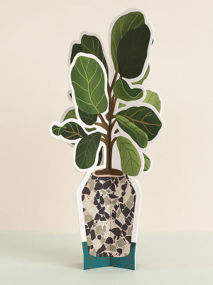 Fiddle Leaf Fig Plant Paper Plant