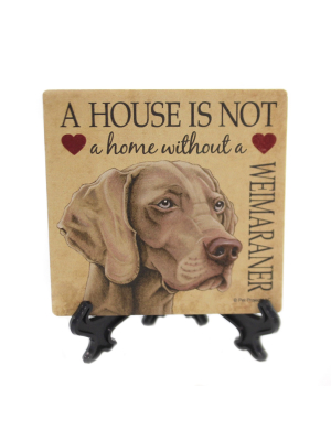 Animal 4.0" Weimaraner - House Stone Coaster Easel Sjt Enterprises - Coasters