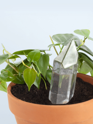 Crystal Shaped Self-watering Plant Globe