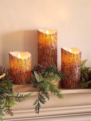 Plow & Hearth - Woodland Flameless Led Candles With Timer, Set Of 3