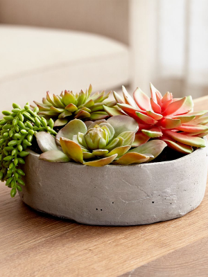 Faux Succulents In Low Round Pot