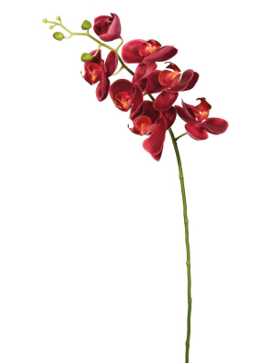 Artificial Real Touch Orchid-7 Heads - Vickerman