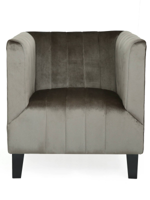 Kettering Modern Glam Club Chair Gray - Christopher Knight Home