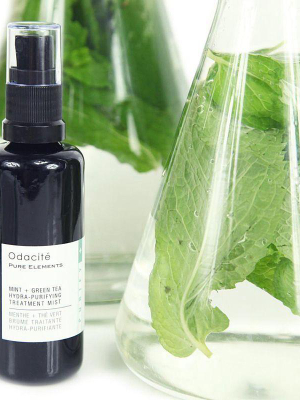 Mint + Green Tea Hydra-purifying Treatment Mist