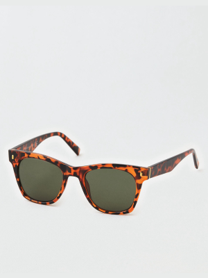 Aeo Tortoise Wayfarer Sunglasses