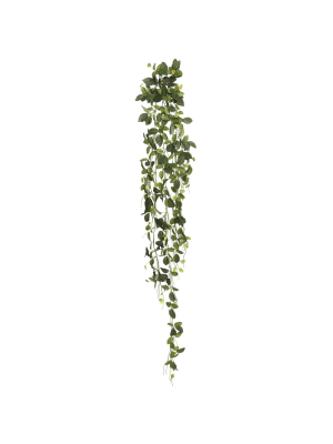 Vickerman 65" Artificial Green Fittonia Hanging Bush.