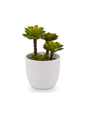 Potted Green Leafy Faux Succulent