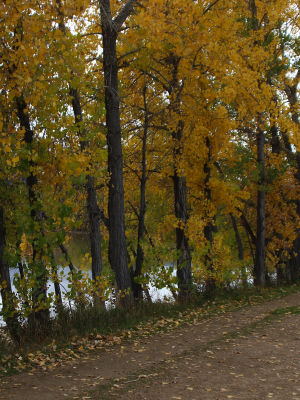 Fall In Boulder 1