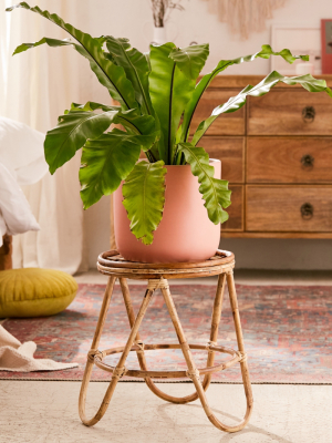 Skye Rattan Stool