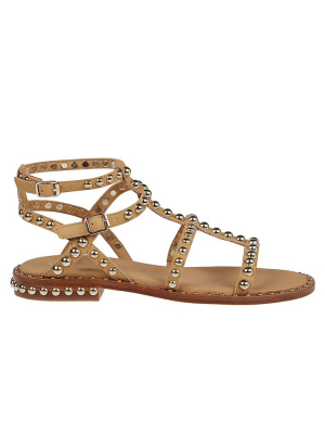 Ash Precious Gladiator Sandals