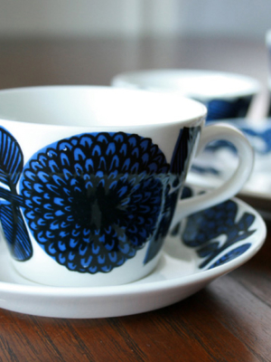 Gustavsberg Aster Coffee Cup And Saucer Combo