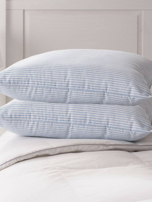 Standard/queen 2pk Bounce Back Bed Pillow - Weatherproof