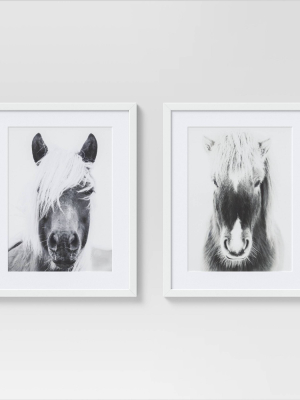 (set Of 2) 16" X 20" Horse Portrait Framed Wall Art White/black - Threshold™