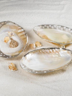 Set Of 3 Ornamented Cabebe Shell Footed Dish W/ Silver Plated Trim