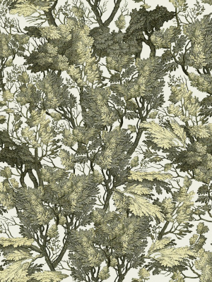 Tree Foliage Wallpaper In Green And White From The Wallpaper Compendium Collection By Mind The Gap