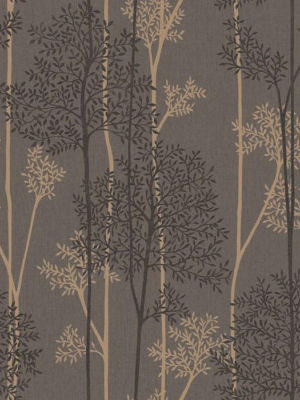 Eternal Wallpaper In Chocolate And Bronze From The Innocence Collection By Graham & Brown