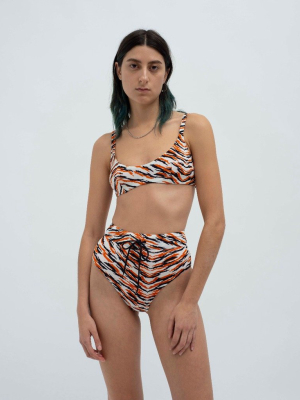 Tiger Print High Waist Bikini Bottoms