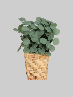 Hanging Woven Planter With Eucalyptus Plants Wall Sculpture Green - Threshold™