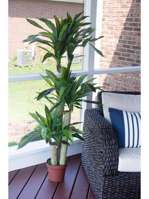 4.7ft Artificial Corn Stalk Dracaena Plant In Pot - Nearly Natural