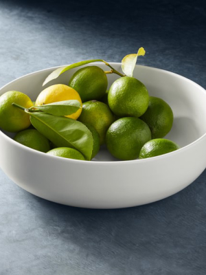 Williams Sonoma Open Kitchen Matte Ceramic Fruit Bowl