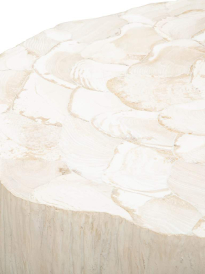 Camilla Fossilized Clam Coffee Table